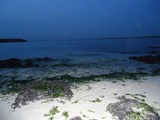 763c4374.jpg