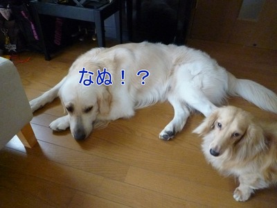 20100829_01
