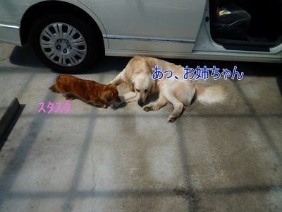 blog6_104025