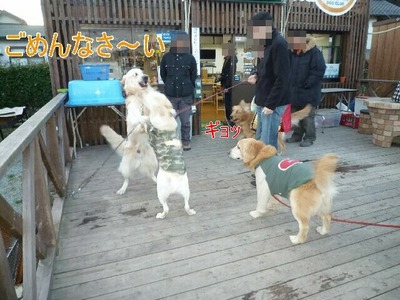 blog6_100127
