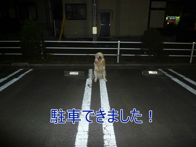 blog3_090928