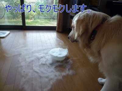 blog2_090929