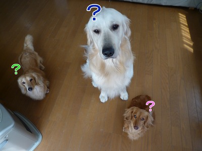 blog2_104025