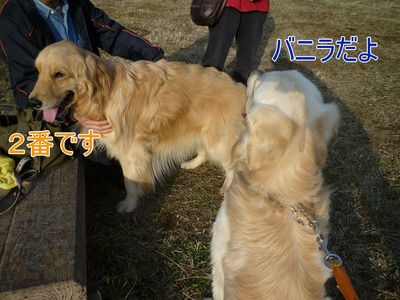 blog8_103022