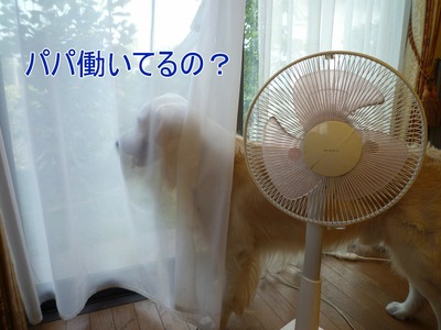 20100830_1