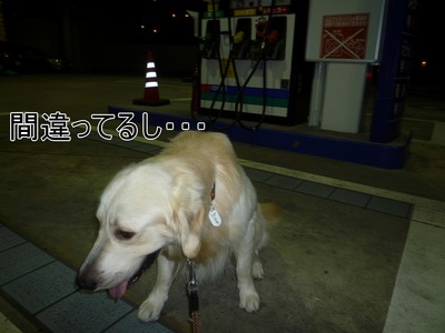 blog4_090928