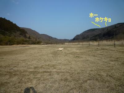blog1_103022