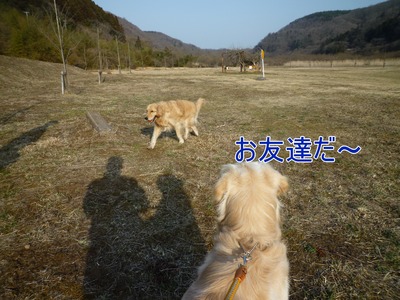 blog7_103022