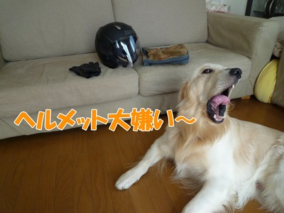blog1_091018