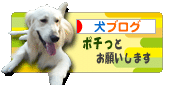 新バナー