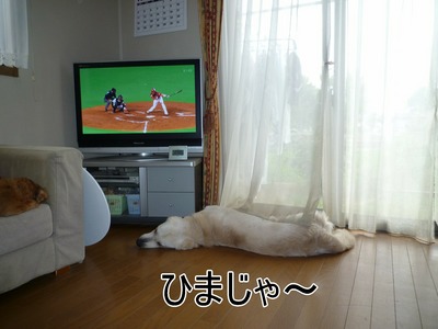 blog3_091018