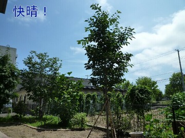 blog1_090802