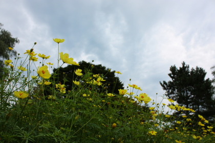 秋のお空へ