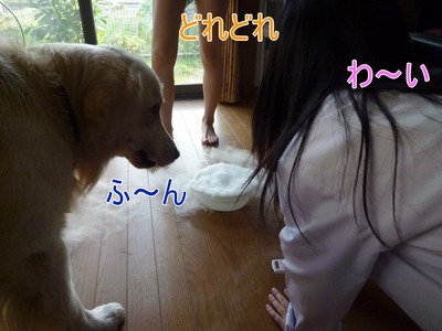 blog4_090929