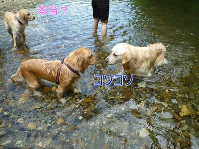 20100724_13