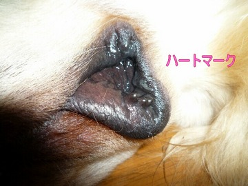 blog3_090717