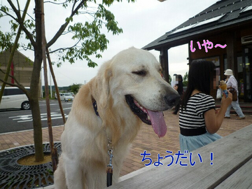 blog4_090815