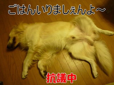 20100829_04