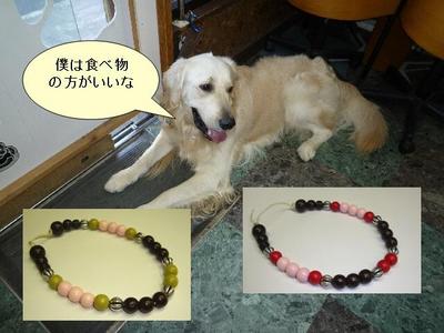 blog4_100128
