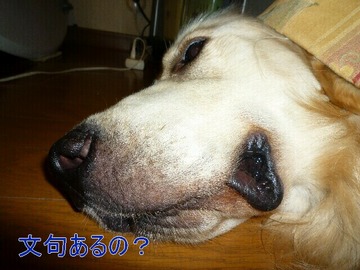 blog4_090717