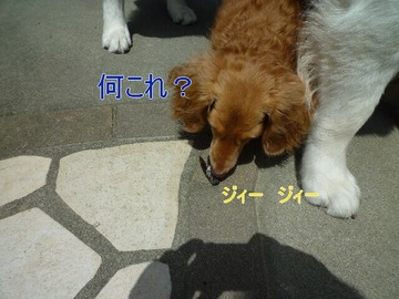 blog2_090802