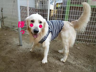 blog3_091224