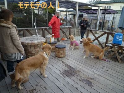 blog4_100127
