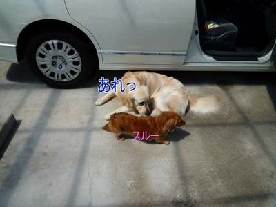 blog7_104025