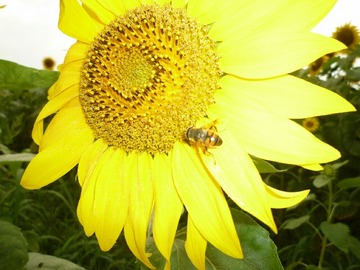 blog5_090815