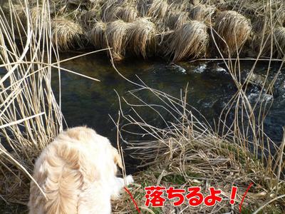 blog3_103022
