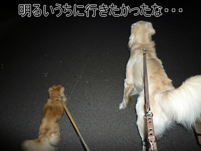 blog4_091018