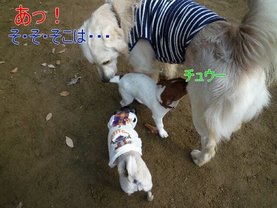 blog2_091224