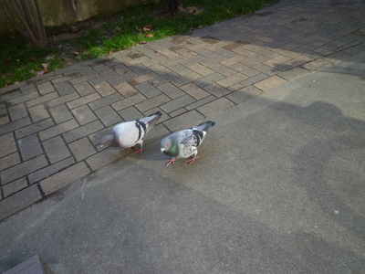 blog2_091122