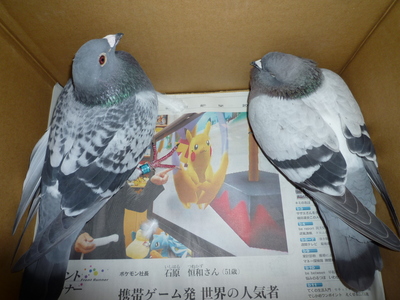 blog4_091122
