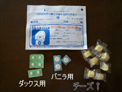 blog2_090829