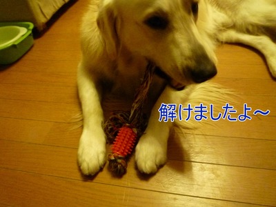 blog5_091130