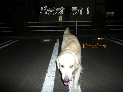 blog2_090928