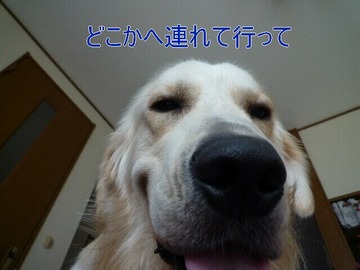 blog1_090815