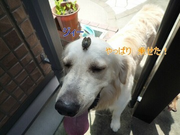 blog4_090802