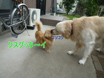 blog4_09016