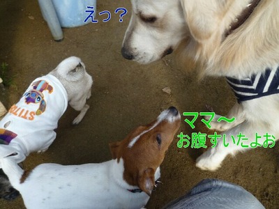 blog1_091224