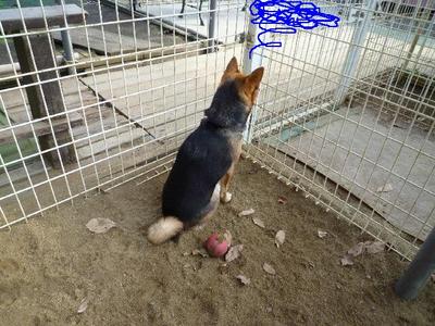 blog4_091224