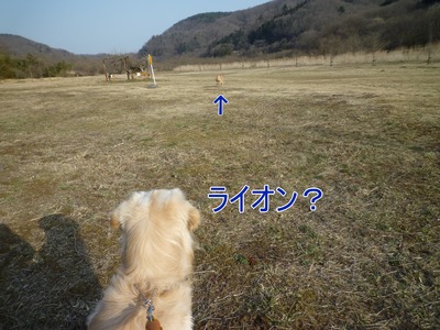 blog6_103022
