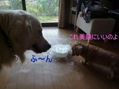 blog3_090929