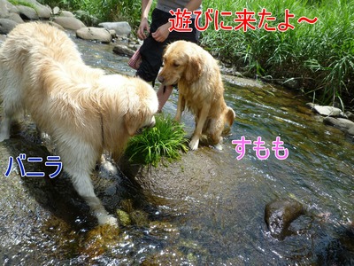 20100724_05