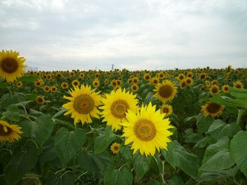blog6_090815