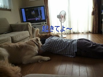 blog2_090815