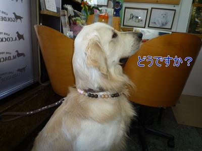 blog3_100128