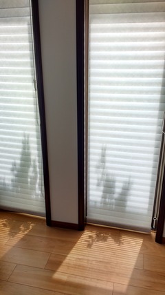 IMG_20160810_120103618_HDR