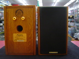 Pioneer/S-A4SPT-PM 1